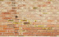 Photo Texture of Wall Bricks Dirty 0002